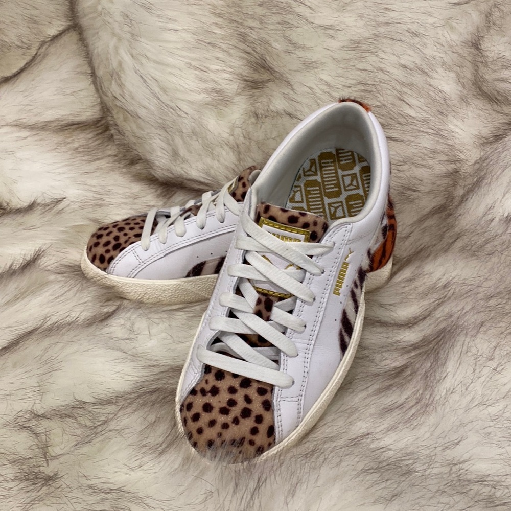 Puma Wildcats